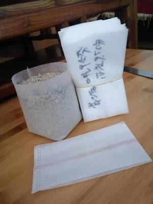 无纺布育苗袋 现代育苗技术的绿色革新
