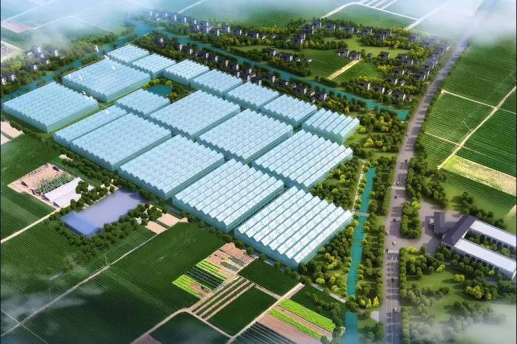 智能温室自动化育苗工厂工作日常 育苗袋的科技之旅
