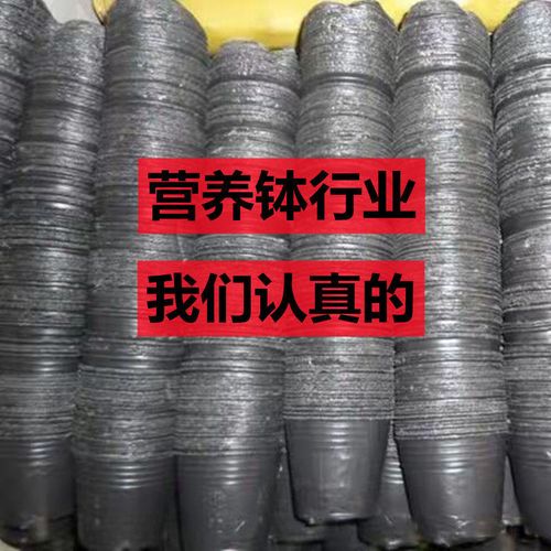 育苗袋与营养钵 一次性育苗容器的全面解析