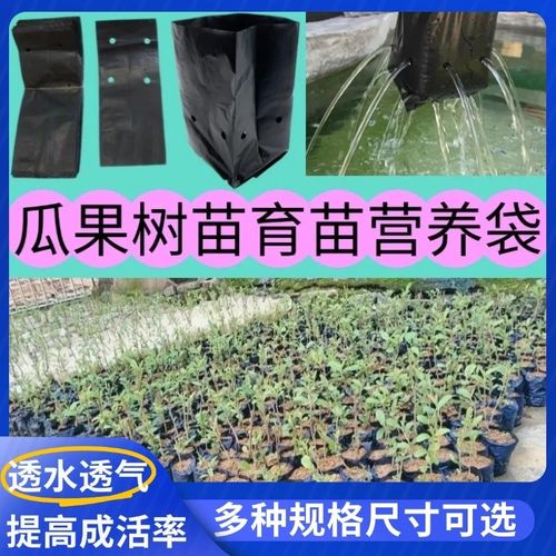 咖啡专用育苗袋与槟榔营养袋 农用加厚一次性树苗培袋批发指南