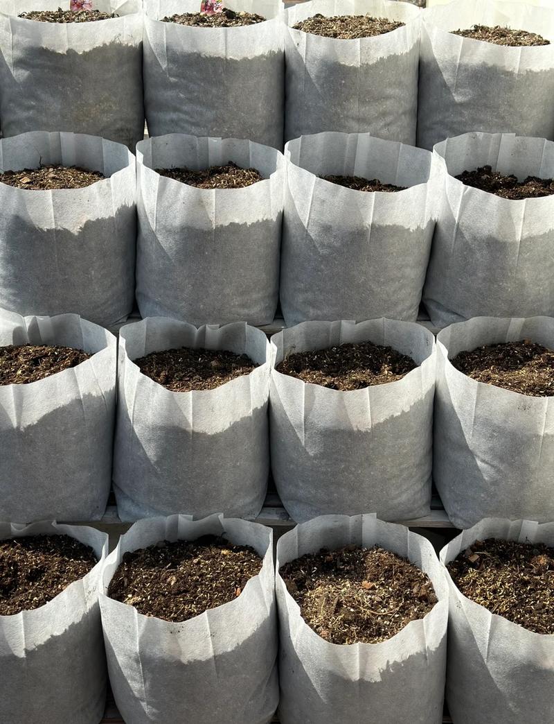 美植袋种植:省钱又实用的种植神器